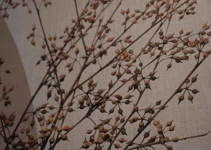 Bed & Breakfast Agorà Luxury Experience Zafferana Etnea